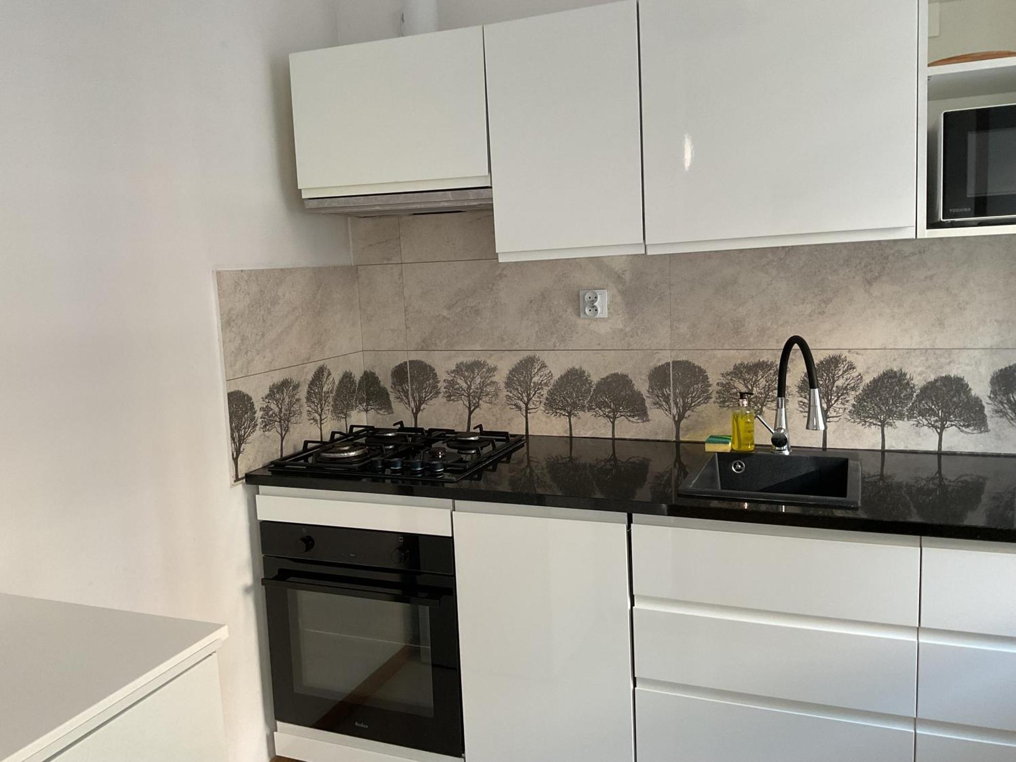 Apartmán Omorika Na Zamkowej Krakov Exteriér fotografie